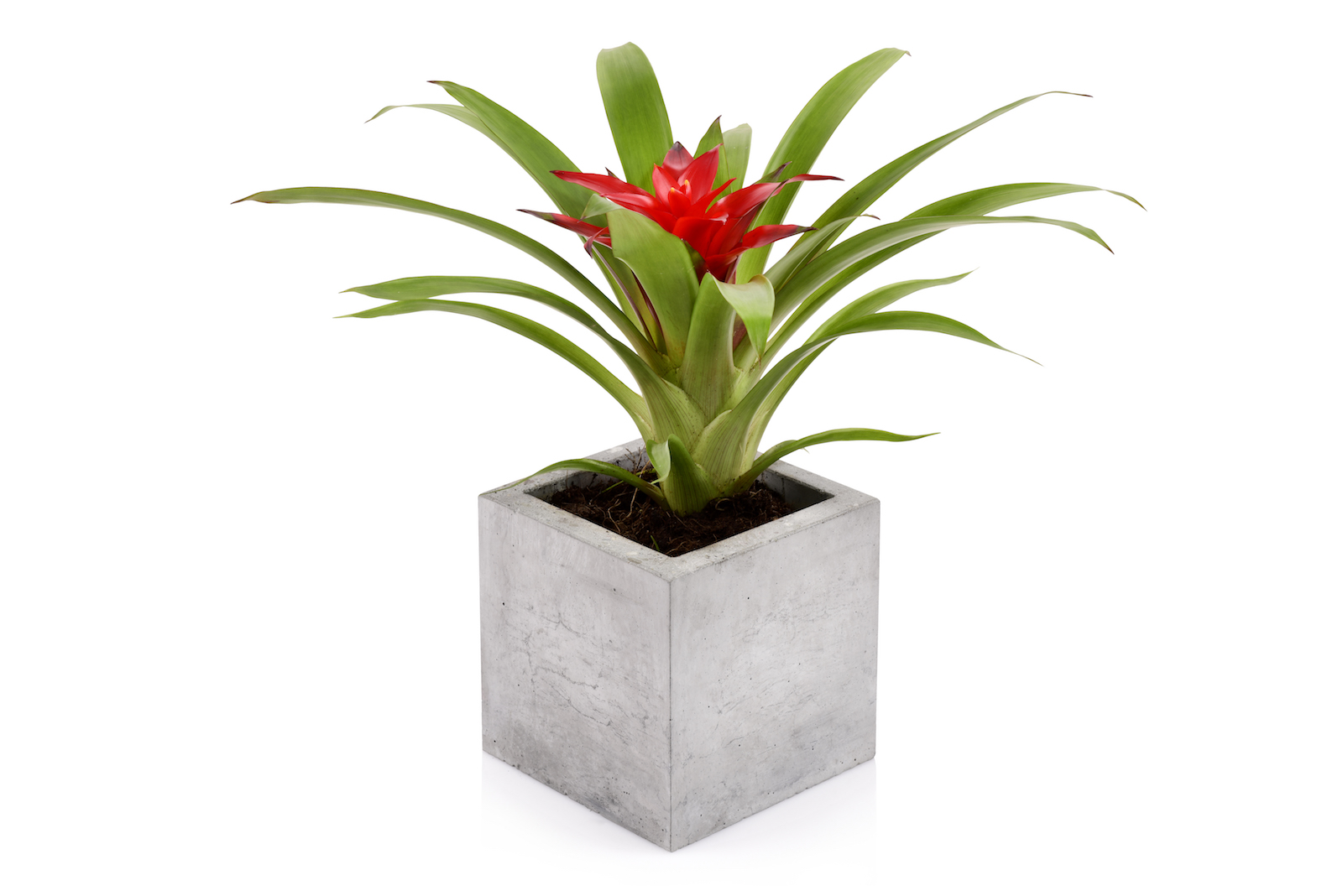 Beske-Manufaktur Beton Blumentopf Kubik S 13x13x13cm Pflanztopf Blumenkübel Pflanzgefäß